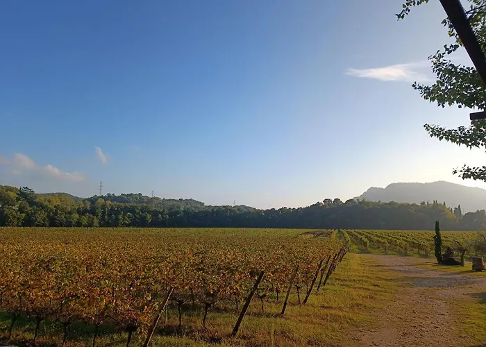 Agriturismo Corte Patrizia