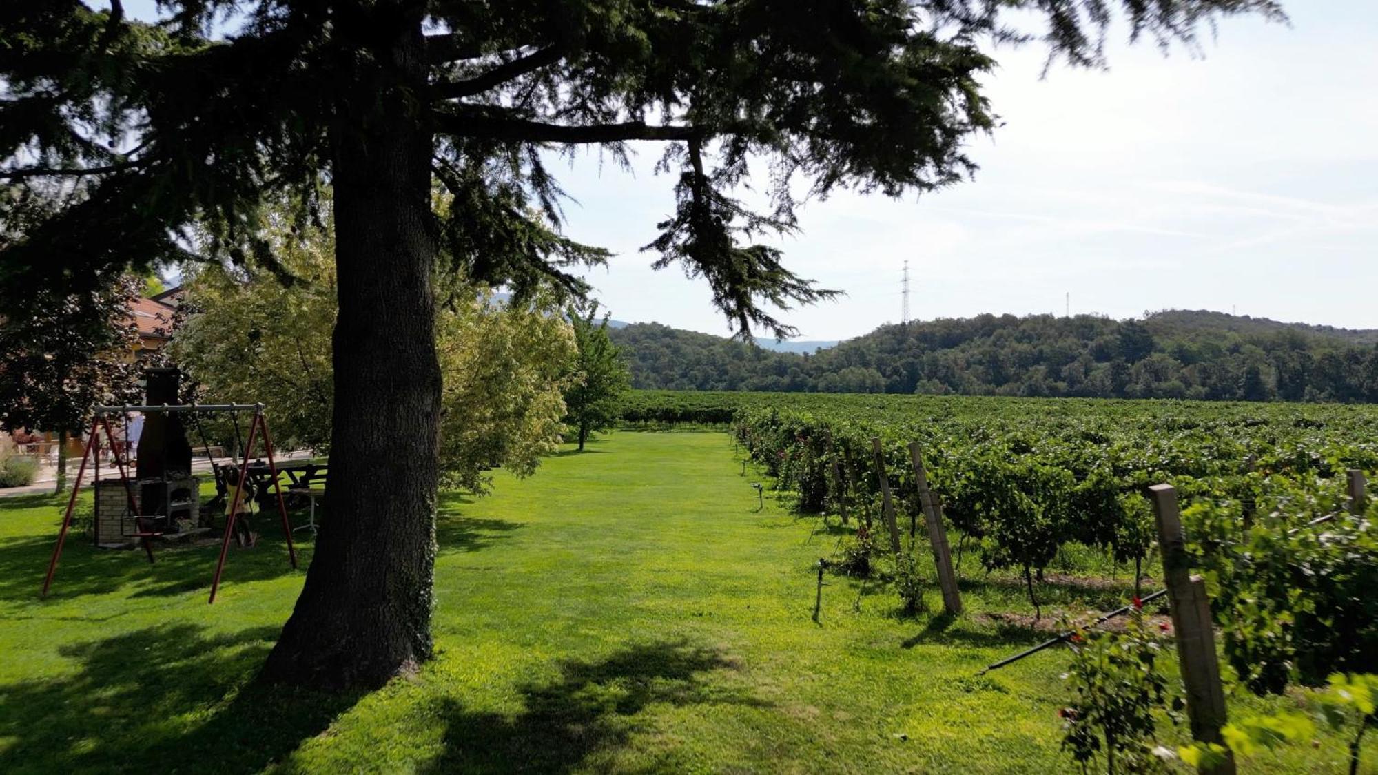 Corte Patrizia Farm stay *