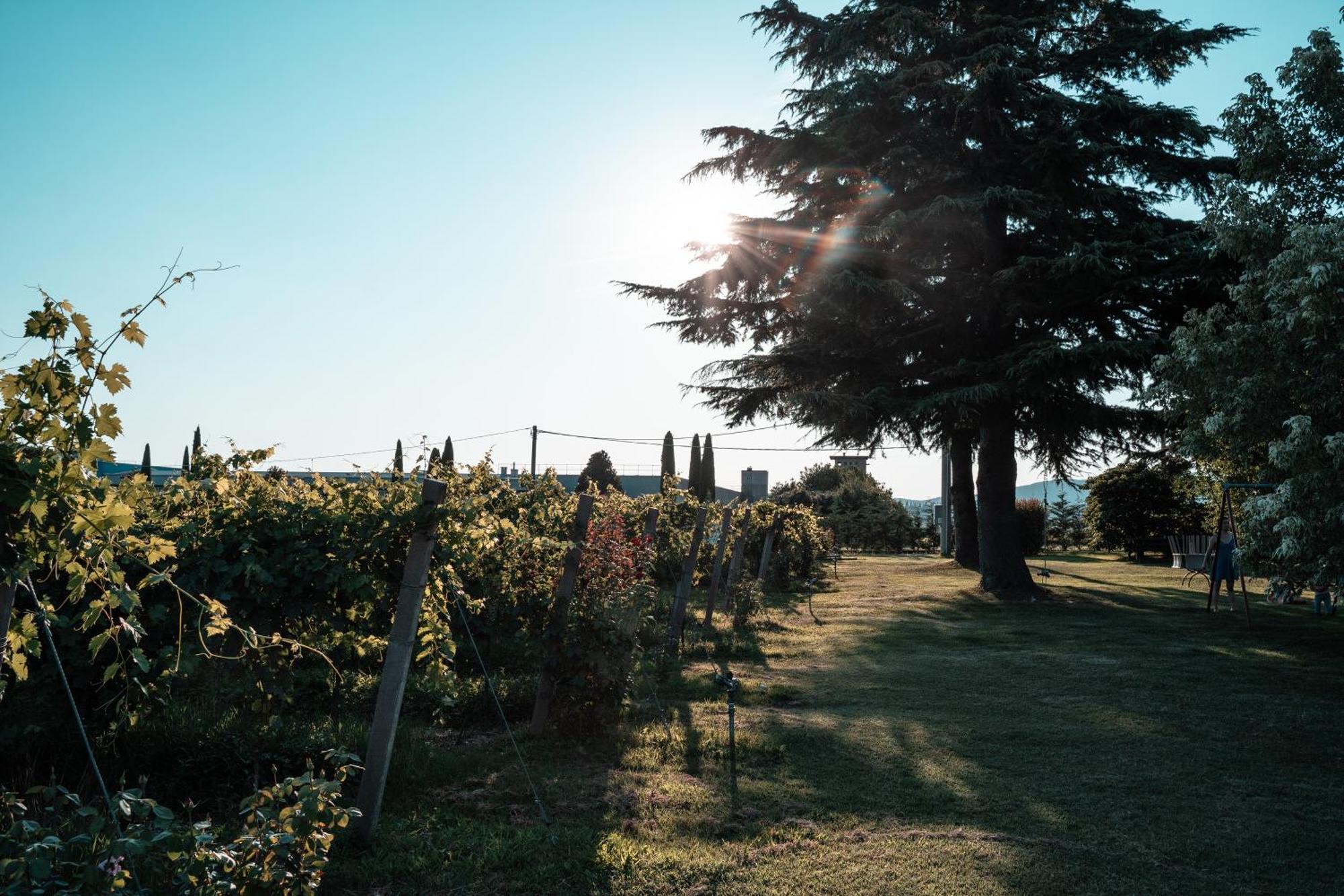Corte Patrizia Farm stay Caprino Veronese